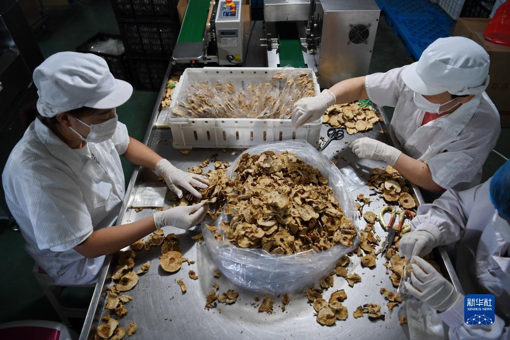 澳门平台app下载